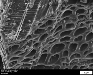 Wood ash 1500x